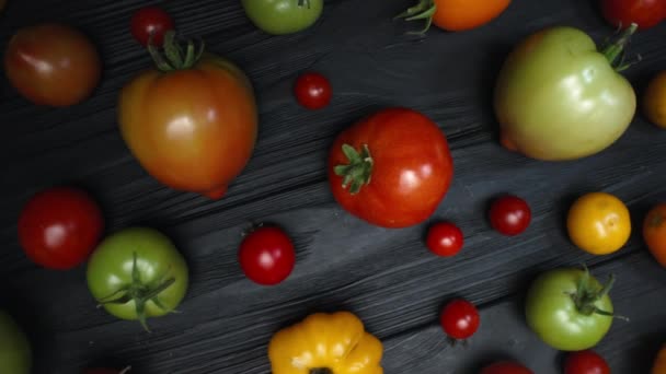 Top Flat Lay Variedades Tomates Superfície Madeira Preta Colheita Vegetais — Vídeo de Stock