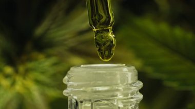 Drip doz eczacılık CBD kenevir yağı. Organik özü. Kozmetik alanında eğilim - cilt bakımı, terapi ve kozmetik teklifleri. Güzellik ürünü: Cannabidiol. Yüksek kalite 4k görüntü