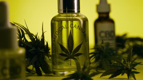 Garrafa Vidro Com Tintura Cannabis Thc Tratamento Base Plantas Óleo — Vídeo de Stock