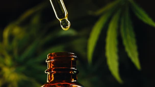 Glazen Fles Met Cannabis Thc Tinctuur Kruidenbehandeling Farmaceutische Hennepolie Alternatieve — Stockvideo