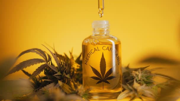 Üvegpalack Kannabisz Thc Tinktúrával Gyógynövényes Kezeléssel Gyógyszerészeti Kenderolaj Alternatív Gyógyászat — Stock videók