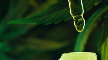 CBD ve esmer arka planda kenevir yapraklı cam şişe. Kozmetik yağı. Kenevir özü. Alternatif tıp konsepti. Yüksek kalite 4k görüntü