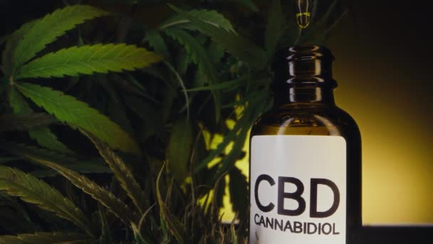 玻璃瓶与Cbd和大麻叶在黑暗的背景 化妆品油 大麻提取物 替代医学概念 高质量的4K镜头 — 图库视频影像