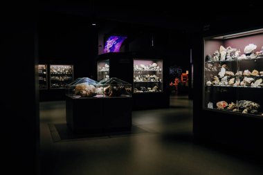 Ekim 2023 - Prag, Çek Cumhuriyeti. Dinozoria müzesinin içi. Modern kristal sergisi, çocuklar ve yetişkinler için taşlar. Eğitim konsepti. Yüksek kalite fotoğraf