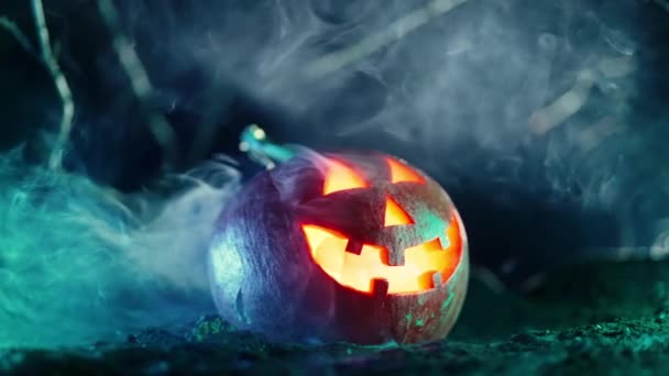 Cadılar Bayramı Nın Korkunç Sembolü Gece Yağmur Altında Mezarlıkta Jack — Stok video