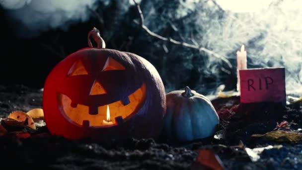 Angst Symbool Van Halloween Jack Lantaarn Begane Grond Begraafplaats Nachts — Stockvideo