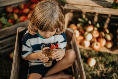 Küçük şirin çocuk meyve bahçesindeki tahta kutuda elma suyu içiyor. Evdeki oğlum, sonbahar kırsalında doğayı, bitkileri keşfediyor. Harika bir sahne. Aile, aşk, hasat, çocukluk kavramı
