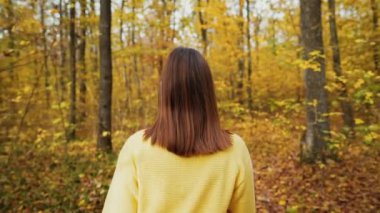 Sonbahar doğa ormanlarında yürüyen tanınmayan bir kadın. Turuncu yapraklı park. El kamerasıyla. Sonbahar manzarası. Yüksek kalite 4k görüntü