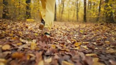Sonbahar doğa ormanında koşan bir kadın. Sadece bacaklar, yolda koşan turuncu yapraklar yerde. Gimbal atışı. Altın sonbahar manzarası. Sağlıklı yaşam tarzı kavramı. Yüksek kalite 4k görüntü