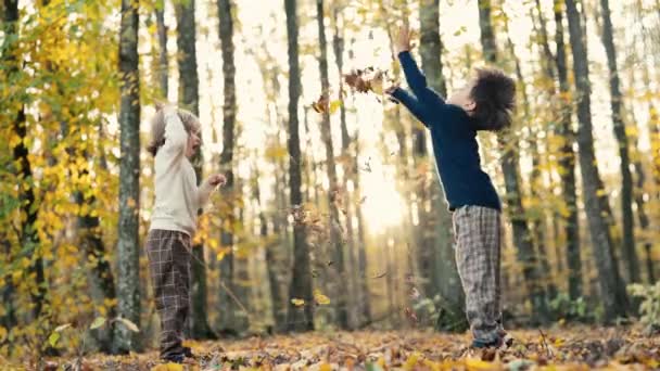 小孩子们在公园里玩落叶橙子 把它扔了 快乐的童年在金碧辉煌的森林里嬉笑着的孩子 — 图库视频影像