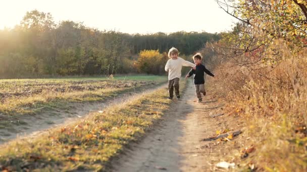 快乐的小男孩高兴地在乡间路上奔跑 温暖的秋天 4岁的孩子们在乡村里嬉戏 城市外的生态生活 高质量的4K镜头 — 图库视频影像