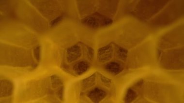 Bal peteği, arı kovanının içindeki makro görüntüler. Sarı boş mum hücreler. Bal toplama sezonu için hazırlık. Yüksek kalite 4k görüntü