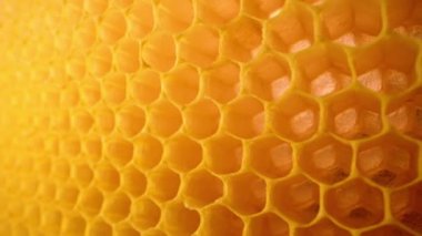 Bal peteği, arı kovanının içindeki makro görüntüler. Sarı boş mum hücreler. Bal toplama sezonu için hazırlık. Yüksek kalite 4k görüntü