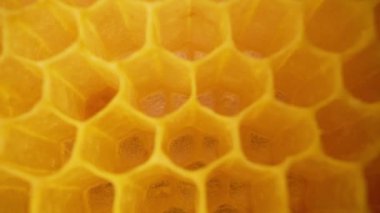 Bal peteği, arı kovanının içindeki makro görüntüler. Sarı boş mum hücreler. Bal toplama sezonu için hazırlık. Yüksek kalite 4k görüntü