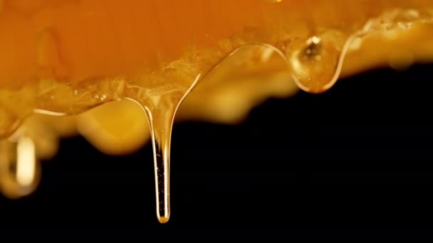 Honung Droppar Från Honungskammar Extrem Makro Naturliga Bivaxceller Guldnektar Ekologisk — Stockvideo