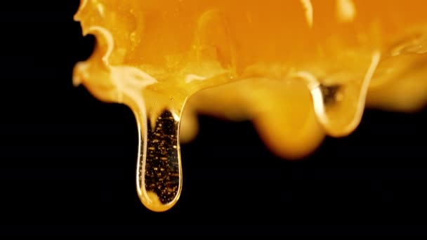 蜂蜜从蜂窝中滴下 能分泌出特大的蜂蜜 天然蜂蜡细胞 黄金花蜜 有机液体甜点倒入黑色背景 高质量的4K镜头 — 图库视频影像