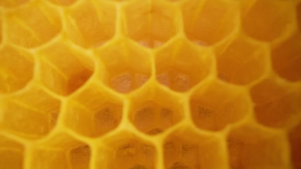 Honeycombs Makrofilm Inne Bikupan Gula Tomma Vaxceller Förberedelse För Insamlingssäsongen — Stockvideo