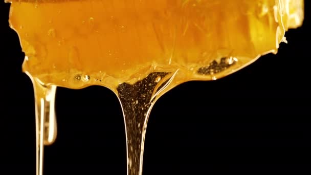 Honing Druipt Van Honingraten Extreme Macro Natuurlijke Bijenwascellen Gouden Nectar — Stockvideo