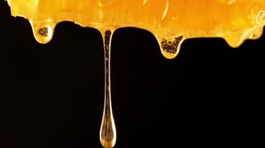 Açılan altın zarafet: Enfes detaylarda bal damlayan büyüleyici makro görüntüler, çarpıcı 4k Yüksek Çözünürlükle yakalanan tatlı özün enfes bir senfonisi. Siyah arkaplan.