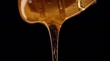 Organik bal, zeytinyağı kaşığından akar. Lezzetli bir işlem. Apiary, arıcılık konsepti. Damlayan, tatlı sıvı nektarı yavaş çekimde döken. Yüksek kalite 4k görüntü