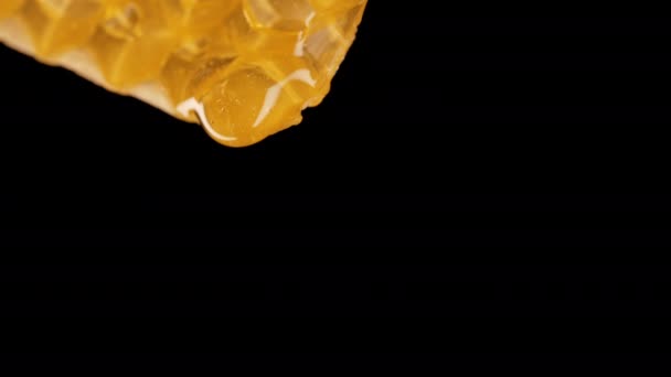 Açılan Altın Zarafet Enfes Detaylarda Bal Damlayan Büyüleyici Makro Görüntüler — Stok video