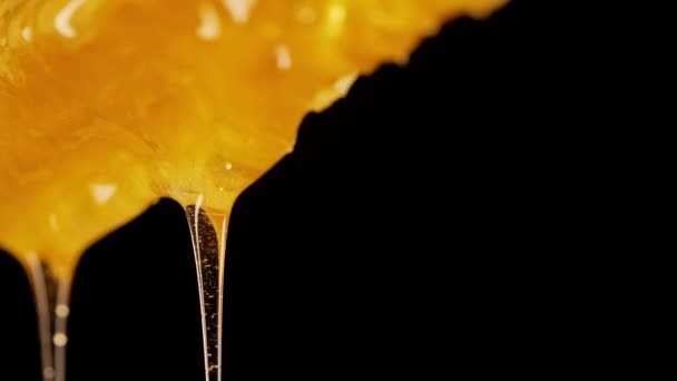 Raw Honeycombs Pouring Pure Golden Honey Elixir Amazing Tasty Flow — Stock Video