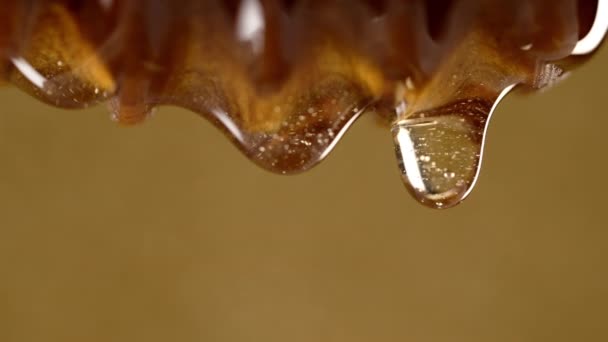 オーガニックハチミツは オリーブの木製ディッパースティックスプーン おいしいプロセスから流れます Apiary 養蜂コンセプトについて ドリッピング スローモーションで甘い液体の蜜を注ぐ 高品質の4K映像 — ストック動画