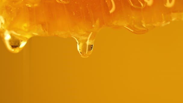 Honing Druipt Van Honingraten Extreme Macro Natuurlijke Bijenwascellen Gouden Nectar — Stockvideo