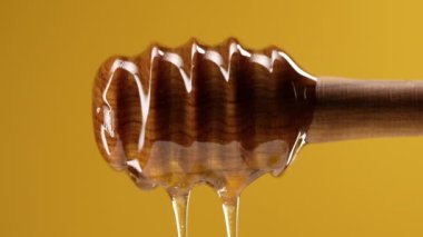Organik bal, zeytinyağı kaşığından akar. Lezzetli bir işlem. Apiary, arıcılık konsepti. Damlayan, tatlı sıvı nektarı yavaş çekimde döken. Yüksek kalite 4k görüntü