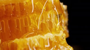 Saf altın bal iksiriyle işlenmemiş bal petekleri. İnanılmaz lezzetli akış. Makro doku, çiçek nektarının yapısı. Tatlı görüntüler, çarpıcı detaylar. Yüksek kalite 4k görüntü