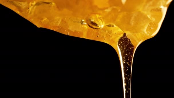 Złoty Eliksir Czarujący Materiał Makro Kapania Miodu Płynne Złoto Natures — Wideo stockowe