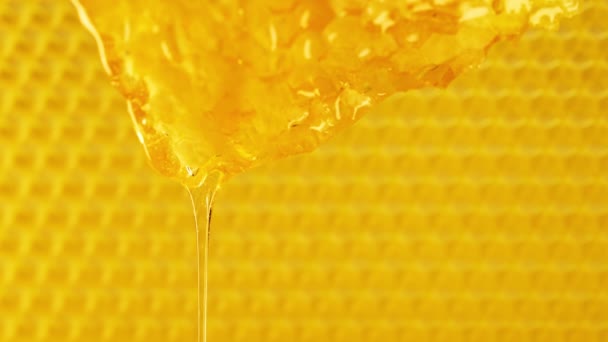 純粋な金の蜂蜜エリクシールを注ぐ生のハニカム すごいおいしい流れでした マクロテクスチャー 花蜜の構造 スウィートビジュアル 素晴らしい詳細 高品質の4K映像 — ストック動画