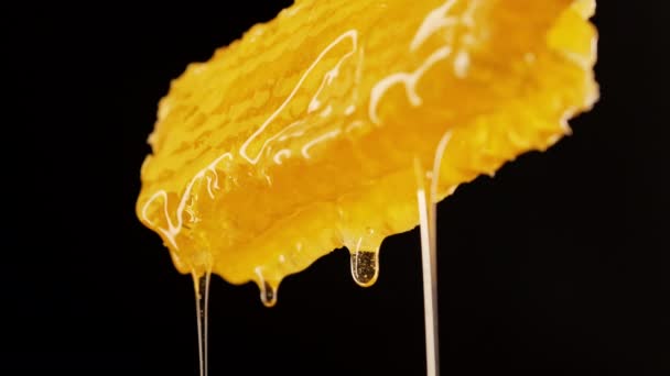 Açılan Altın Zarafet Enfes Detaylarda Bal Damlayan Büyüleyici Makro Görüntüler — Stok video