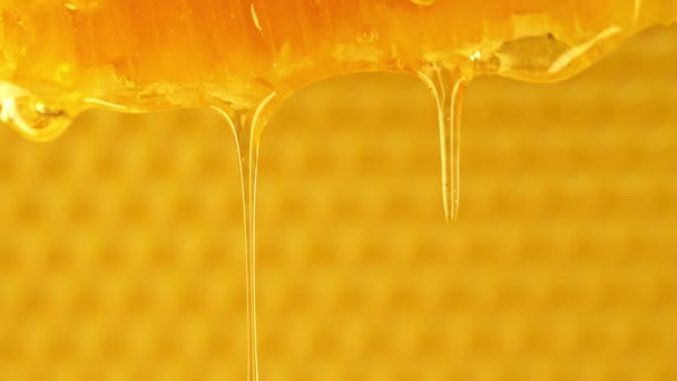 蜂蜜从蜂窝中滴下 能分泌出特大的蜂蜜 天然蜂蜡细胞 黄金花蜜 有机液体甜点倒入蜡细胞背景 高质量的4K镜头 — 图库视频影像