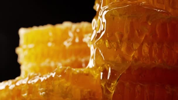 Μέλι Που Στάζει Από Κηρώδη Κύτταρα Μελισσών Χρυσό Νέκταρ Βιολογικό — Αρχείο Βίντεο