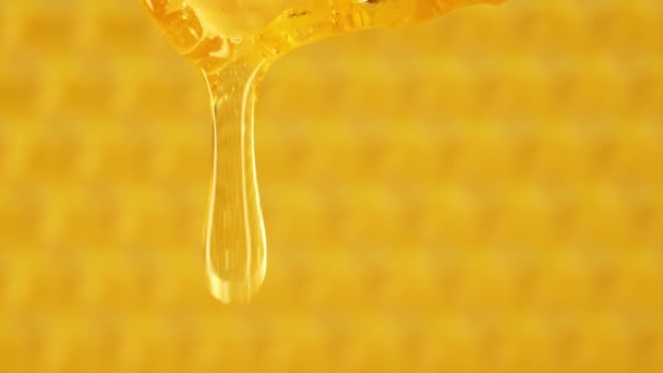 ハニカムから運ばれる蜂蜜 極端なマクロ 天然の蜂蜜ワックス細胞 金の蜜 ワックス細胞の背景に注ぐ有機液体デザート 高品質の4K映像 — ストック動画