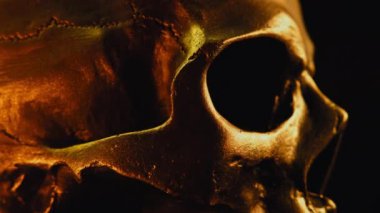 İnsan kafatası siyah arka planda döner. Cadılar Bayramı kutlaması, gizem, cazibe, tarz kavramı. Sembolizmin gücü - ölümlülük, isyan. Görsel dramatik metafor.