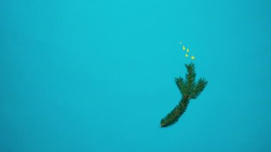 Noel ağacı dalları mavi arka planda kuyruklu yıldızlı kuyruklu yıldızlar gibi hareket eder. Yaratıcı durdurma animasyonu üst uzay görünümünü kopyala. Yüksek kalite 4k görüntü