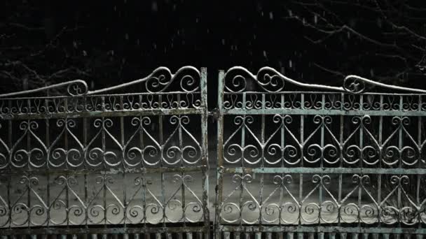 本物の雪 夜の冬の雪 古いオルネイトフェンス 暗闇への扉 寒い天気だ ブリザード 雪が降る シームレスなクリスマスの時間不思議な背景 高品質の4K映像 — ストック動画