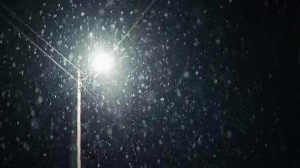 Настоящий Снег Зимний Снег Ночью Одинокая Лампа Освещает Улицу Холодная — стоковое видео