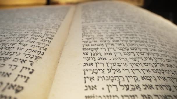 Explorando Sagradas Escrituras Herança Judaica Hebraico Detalhes Torá Tradição Sabedoria — Vídeo de Stock