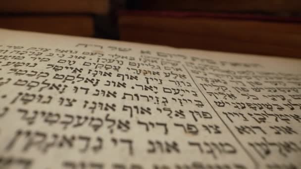 Branice Ncil Kutsal Yahudi Mirası Yazıtlarını Araştırıyorum Makrodaki Saygı Duyulan — Stok video
