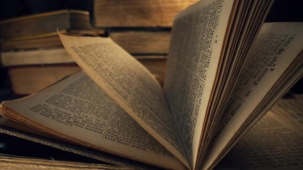 독일어로 신성한 그리스도인 성경을 성경의 세부사항 전통과 매크로 편지와 고품질 — 비디오