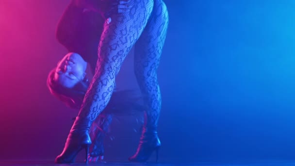 ヒョウのタイツで脚に触れるセクシーな女性 ボディと柔軟な動き ネオンスタジオで魅惑的なホットダンス ヒールシューズのレディダンサー 高品質の4K映像 — ストック動画