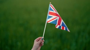 İngiliz sendikası yeşil doğada bayrak sallıyor. İngiltere, İskoçya, Kuzey İrlanda. Birleşik Krallık 'ın sembolü, demokrasi, seyahat eden İngiltere, kutlama, İngiltere bayrağı, Anma Günü. Yüksek kaliteli 4K görüntü
