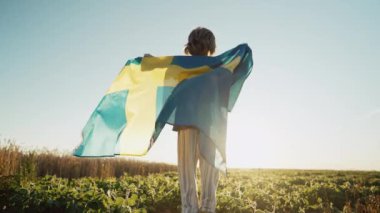 Tanımlanamayan İsveçli küçük çocuk. Vatansever çocuk yazın günbatımında ulusal bayrağıyla zıplıyor. Sverige bayrağı, İsveç 'te tatiller. Yüksek kalite 4k görüntü