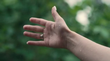 Yeşil tropikal arka planda yağmur damlaları yakalayan kadın eli. Musonun tadını çıkarmak, çevre iyileştirme, tazelik, saflık, hayat veren güç. Yüksek kalite 4k görüntü