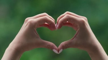 Yumuşak yağmur damlaları, aşk dolu kalp şeklinde kadın elleri. Yakın çekim su yakalama. Islak avuçlar, yağmur. Ormanda güzel tropikal hava. Gönüllü olmak, sadaka vermek, minnettarlık sembolü..