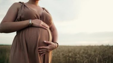 Tanımlanamayan müstakbel anne bebek bekliyor. Sağlık hamileliği, mutlu annelik. Hamile bir kadın buğday tarlasına dokunuyor, karnını okşuyor. Yüksek kalite 4k görüntü