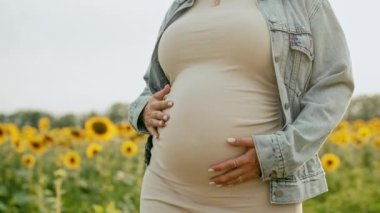 Tanımlanamayan müstakbel anne bebek bekliyor. Sağlık hamileliği, mutlu annelik. Hamile bir kadın dokunuyor, karnını okşuyor ayçiçeklerinin üzerinde, doğal arka planda. Yüksek kalite 4k görüntü